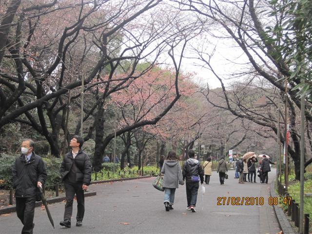 Picture 198 (Small).jpg
